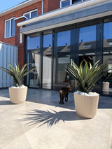 Artificial plant Agava Pandora 85 cm UV - Easyplants Artificial Plants & Flowers