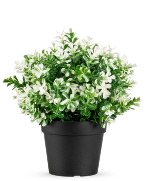 The Artificial Plant Four Leaf Clover white UV 22 cm is a black flowerpot with artificial green leaves and small white flowers on a plain white background.
