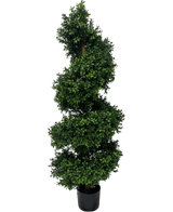 Artificial Buxus Spiral Roman style UV 120cm - Easyplants Artificial Plants & Flowers
