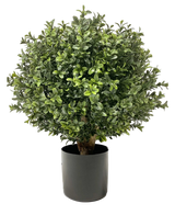 Artificial Buxus on Stam D30 cm - Easyplants Artificial Plants & Flowers