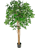Artificial oak tree 210 cm - Easyplants Artificial Plants & Flowers