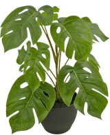 Artificial Monstera 40 cm in Sierpot Black - Easyplants Artificial Plants & Flowers