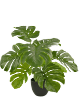 Artificial Monstera 55 cm in Sierpot Black - Easyplants Artificial Plants & Flowers