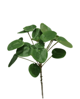 Artificial Pilea Pancake Plant 50 cm - Easyplants Artificial Plants & Flowers