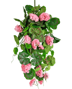 The Artificial hanging plant Geranium 75 cm pink has artificial green leaves and pink geranium flowers that fall down, perfect as a hanging decoration against a white background.