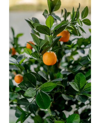 A close-up of the Artificial Orange Tree 120 cm shows vibrant orange fruits among glossy green leaves, with a blurred background that emphasizes the realistic, vibrant appearance of the artificial tree.