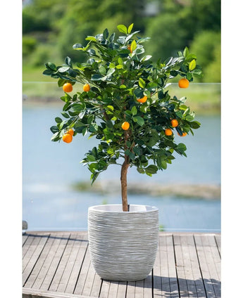 A 120 cm artificial orange tree with ripe fruits stands in a white embossed pot on a wooden terrace, overlooking a hazy water feature and a green landscape outside.