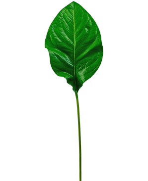 The Artificial Green Leaf 90cm is a single, glossy green artificial leaf with prominent veins and a long, slender stem, depicted isolated on a white background.