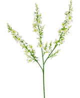 Artificial Flower Catnip 75 cm White - Easyplants Artificial Plants & Flowers