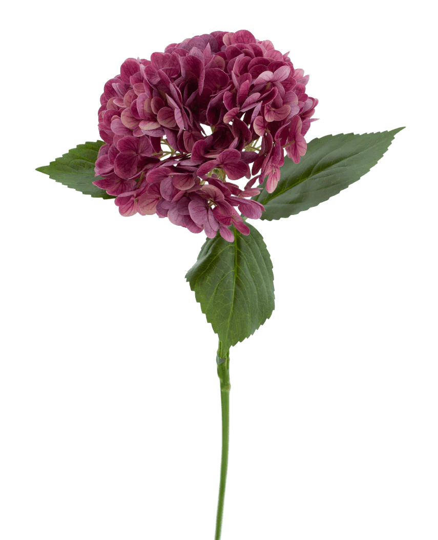 The Artificial Flower Charlotte Hydrangea Real Touch purple 55 cm has a single stem of a purple hydrangea with several small petals and green leaves, against a plain white background.