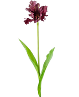 Artificial Flower French Parakeet Tulip 76 cm Purple - Easyplants Artificial Plants & Flowers