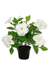 Artificial Flower Petunia Plant 25 cm White - Easyplants Artificial Plants & Flowers