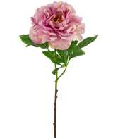 Artificial Flower Peony 61 cm Light Pink - Easyplants Artificial Plants & Flowers