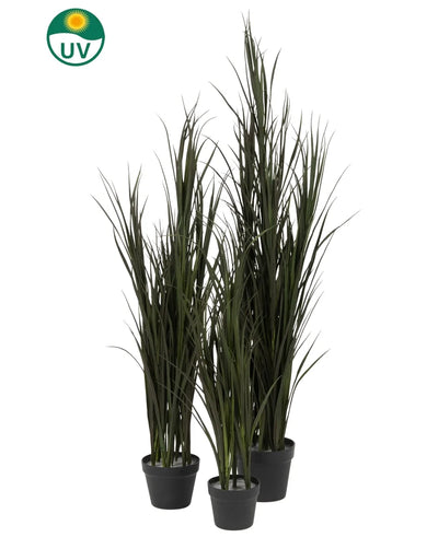 The Artificial Grass Bordeaux UV 120cm has four UV-resistant potted artificial grass plants of different heights in black pots, each marked with a green UV logo, against a plain white background.