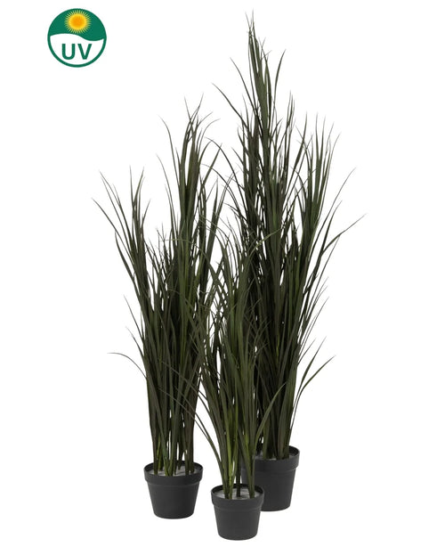 The Artificial Grass Bordeaux UV 120cm has four UV-resistant potted artificial grass plants of different heights in black pots, each marked with a green UV logo, against a plain white background.