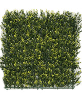 Kunsthaag Buxus geel 50x50 cm UV