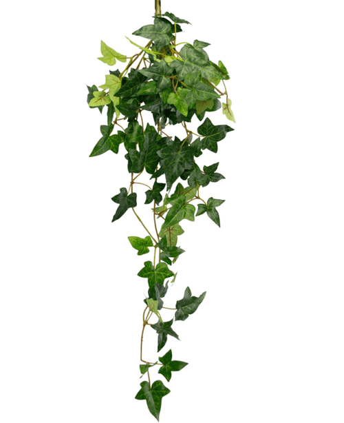 The Artificial hanging plant Ivy Boston 70 cm green has green, star-shaped leaves and long, winding tendrils, perfect for adding a touch of nature against a white background.