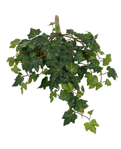 The Artificial Ivy Deluxe Green 40cm has lush green leaves and winding vines against a white background.