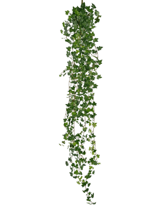 The Artificial hanging plant Ivy deluxe 180 cm green has a long strand of green ivy with many small, pointed leaves that fall down, perfect as decoration against a white background.