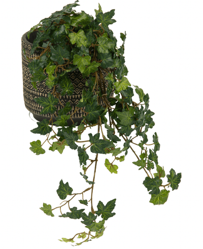 The Artificial Ivy Deluxe Green 60cm features lush green, glossy, lobed ivy leaves cascading over a decorative patterned pot, against a white background.