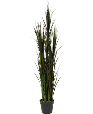 Artificial grass Bordeaux UV 150 cm consists of tall artificial grass with long, slender green leaves, arranged in a small black pot, depicted against a white background.