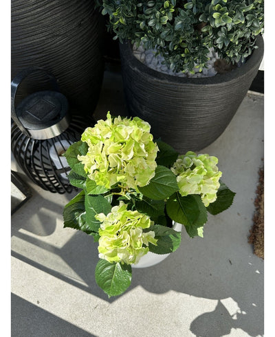 The Artificial Hydrangea Green UV 35 cm plant with light green flowers stands on a sunny patio next to a black lantern and a large planter with colorful leaves, which casts bright shadows on the concrete floor.