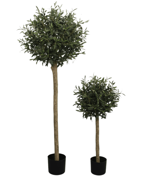 The Artificial olive tree UV 150 cm is an artificial olive tree in a pot with a round, leafy green top and a long, thin trunk. UV resistant and presented in a black pot, it stands out against a plain white background.