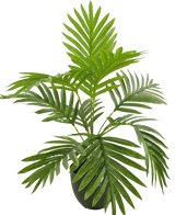 Artificial Palm Phoenix 50 cm in Sierpot Black - Easyplants Artificial Plants & Flowers