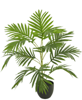 Artificial palm Phoenix 65 cm in Sierpot Black - Easyplants Artificial Plants & Flowers
