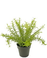 Artificial plant Anthurium 27 cm - Easyplants Artificial Plants & Flowers