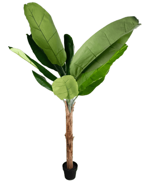 The Artificial Banana Tree 180 cm is a tall artificial banana plant with large green leaves and a brown trunk in a small black pot, depicted against a plain white background.