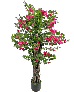 The Artificial Bougainvillea 120 cm has twisted brown stems, lush green leaves and vibrant pink flowers, perfect for adding color to any space.