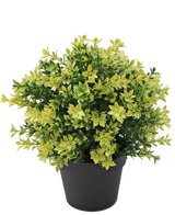 Artificial Plant Boxwood Yellow 22 cm UV - Easyplants Artificial Plants & Flowers