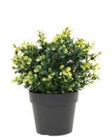 Artificial plant boxwood yellow in pot 19 cm UV - Easyplants Artificial Plants & Flowers