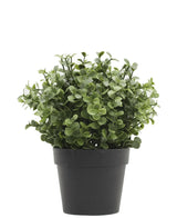 Kunstplant Buxus groen in pot 19 cm UV