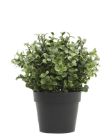 Artificial plant boxwood green in pot 19 cm UV - Easyplants Artificial Plants & Flowers