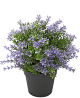 Artificial plant boxwood purple 22 cm UV - Easyplants Artificial Plants & Flowers