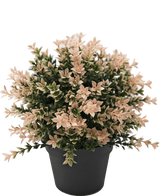 Artificial Plant Buxus Pink 22 cm UV - Easyplants Artificial Plants & Flowers
