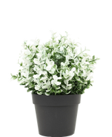 Artificial Plant Boxwood White in pot 19 cm UV - Easyplants Artificial Plants & Flowers