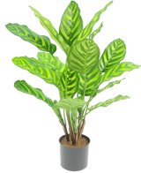 Artificial Plant Calathea Makoyana 55 cm - Easyplants Artificial Plants & Flowers