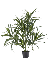 Artificial plant dracaena reflexa in pot 63 cm - Easyplants Artificial Plants & Flowers
