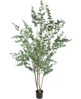 Artificial Plant Eucalyptus 240 cm - Easyplants Artificial Plants & Flowers