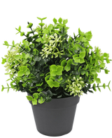 Artificial Plant Eucalyptus Mix 22 cm UV - Easyplants Artificial Plants & Flowers