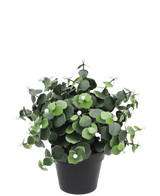 Artificial plant eucalyptus white in pot 22 cm UV - Easyplants Artificial Plants & Flowers