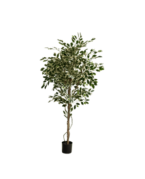 The Artificial Plant Ficus Exotica 165 cm has colorful green and white leaves on several slender branches in a simple black pot, against a plain white background.