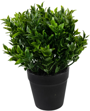 The Artificial Plant Green 20 cm in pot is a lush green artificial plant with small pointed leaves in a simple black pot, perfect for adding vibrant greenery to your space.
