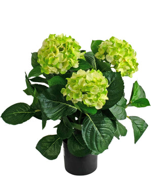 The Artificial Hydrangea UV 43 cm green plant has three large bunches of light green hydrangea flowers with dark green leaves in a pot, against a white background.
