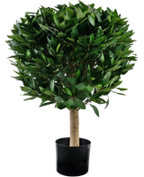 Artificial plant bay leaf D55 cm UV - Easyplants Artificial Plants & Flowers