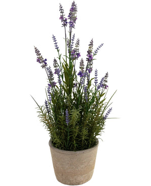 The Artificial Lavender 51 cm in decorative pot has long green stems and small purple flowers in a light-colored pot, against a white background.