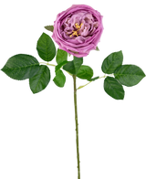 Artificial Gardener "Anniken" Real Touch Purple 72cm - Easyplants Artificial Plants & Flowers